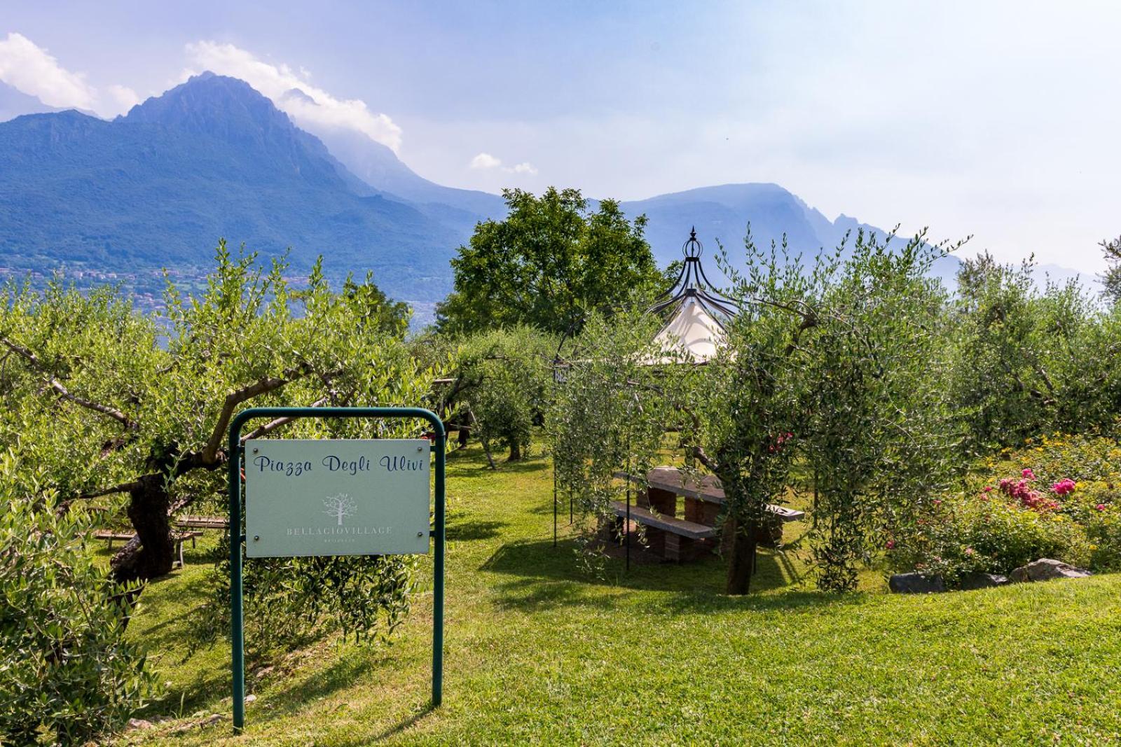 Villa Vittoria With Private Heated Pool & Shared Sauna - Bellagio Village Residence Oliveto Lario 外观 照片